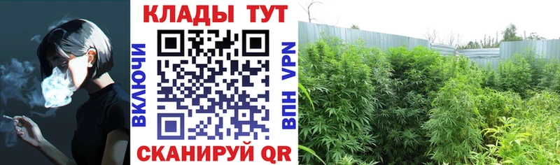 Где продают наркотики Хотьково А ПВП  Псилоцибиновые грибы  Меф мяу мяу  ГАШИШ  МАРИХУАНА 