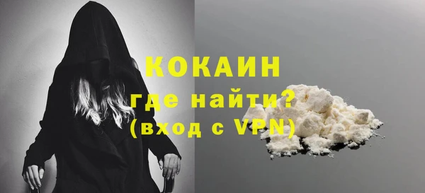 гашик Бородино