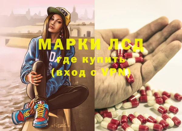 гашик Бородино
