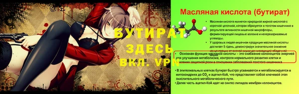 гашик Бородино