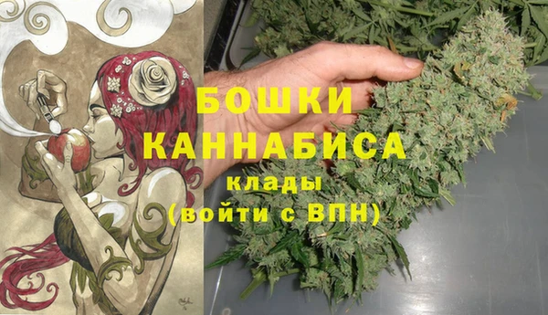 дурь Бронницы