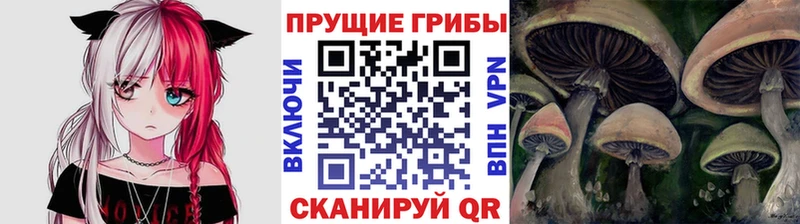 что такое   Хотьково  Псилоцибиновые грибы мухоморы 